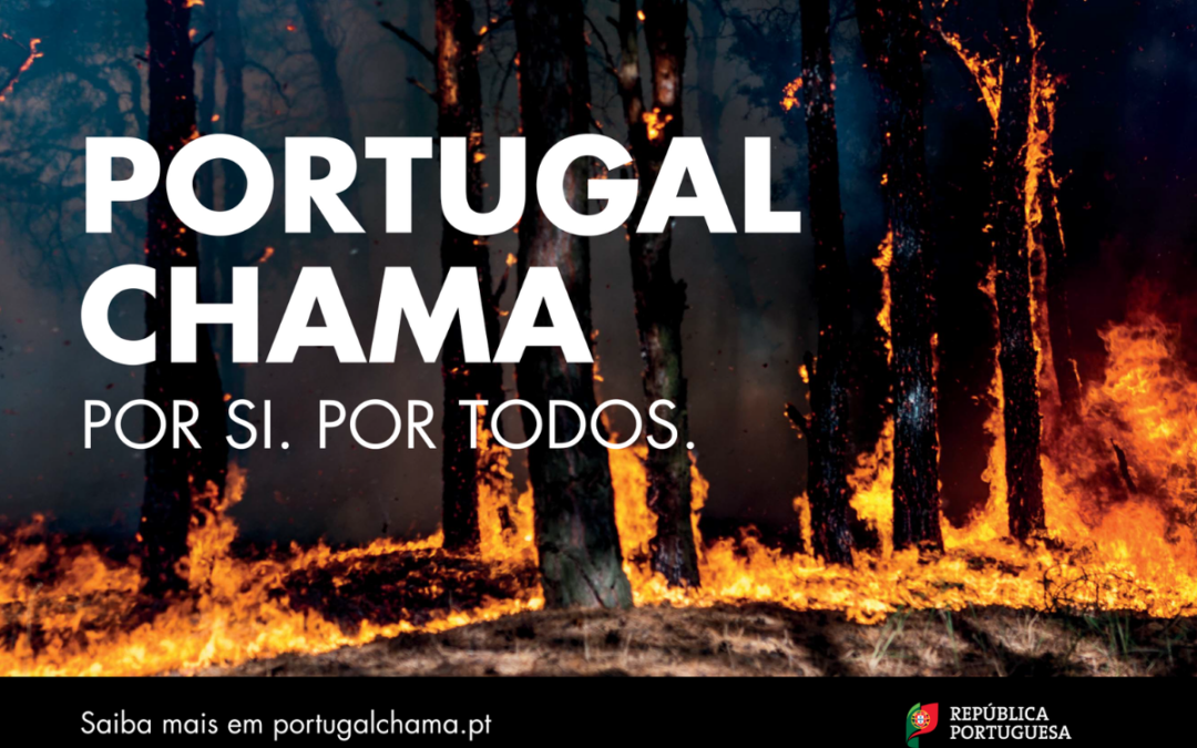 PORTUGAL CHAMA | Número de incêndios reduziu para mais de metade entre 2018 e 2022