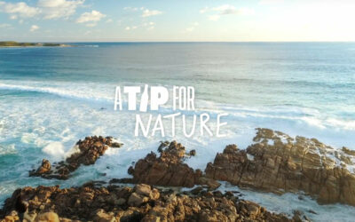 A TIP FOR NATURE | AHRESP apoia projeto para aumentar recolha de embalagens de vidro