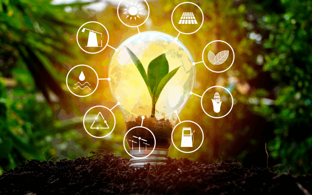 ERSE | Estudo sobre indicadores de energia não fornecida