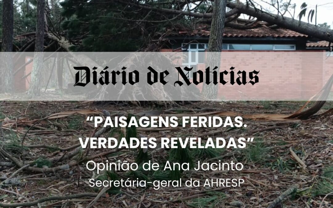 DIÁRIO DE NOTÍCIAS | Opinião de Ana Jacinto “Paisagens feridas. Verdades reveladas.”